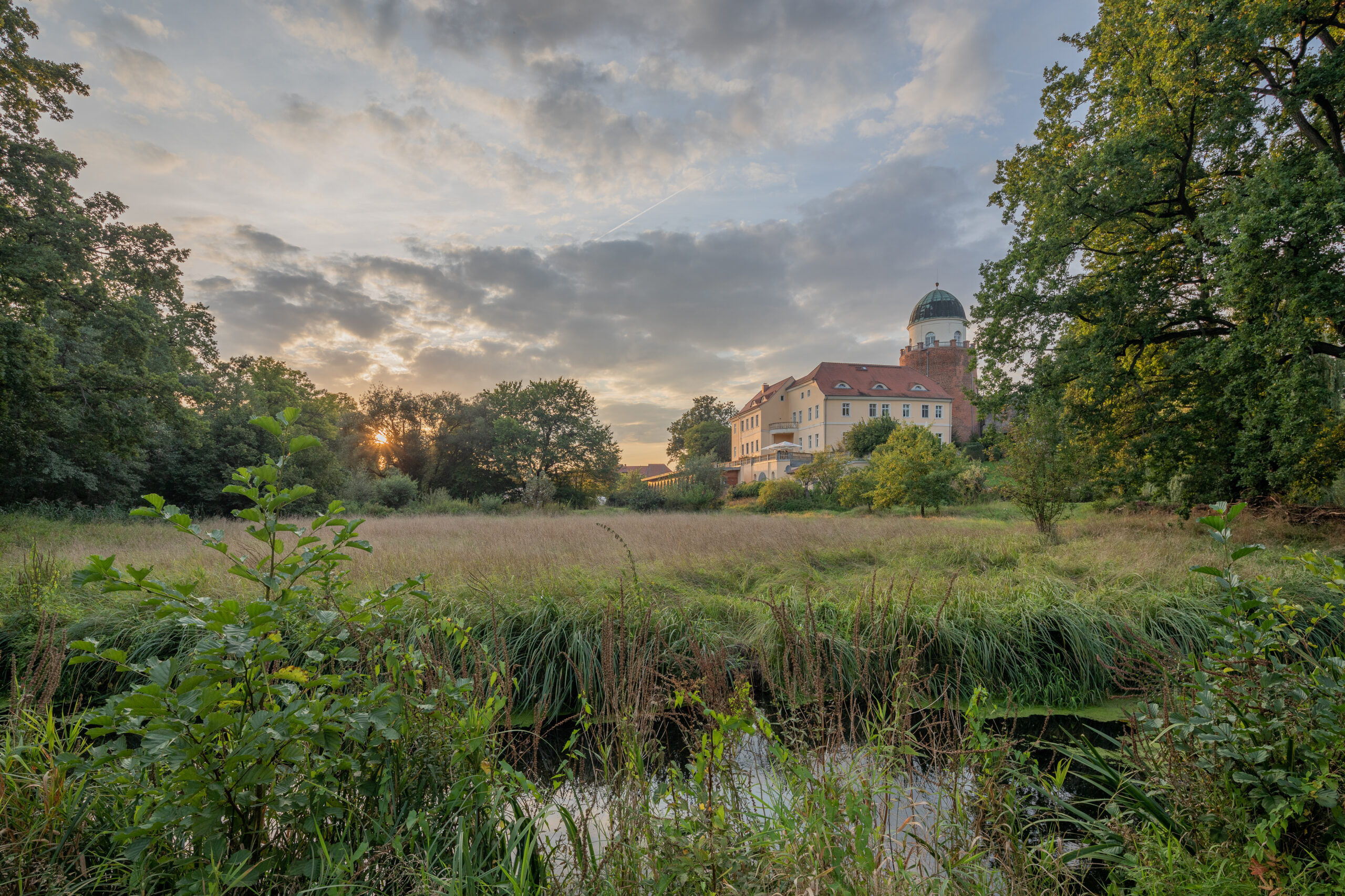 root to RISE – Deine Reise von Atem und Meditation im Ahead Hotel