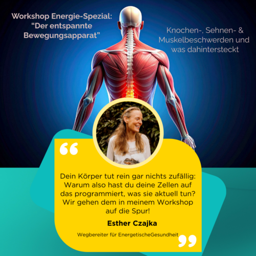 Esther Workshop Bewegungsapparat