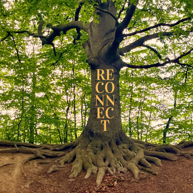 reconnect alina hellen