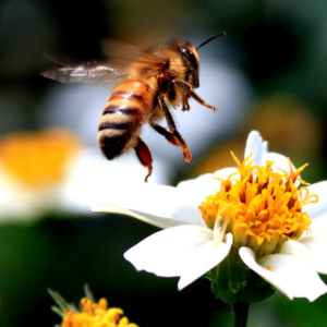 Meditationsabend Hals