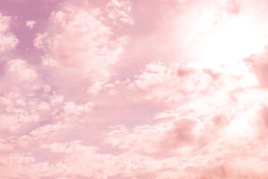 Vera Dendorfer Workshop